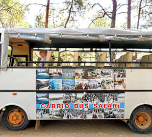 Sonnenschutz durch Überdachung