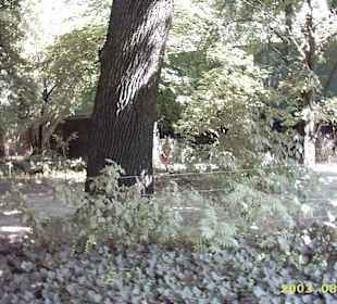 Zoo Leipzig