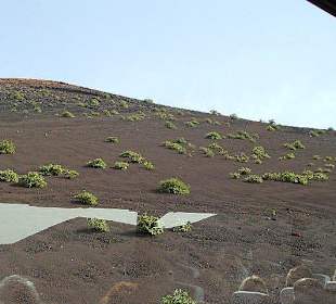 Timanfaya (Montanas del Fuego)