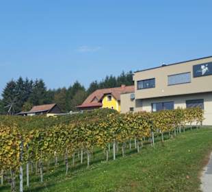 Weinhof am Weg