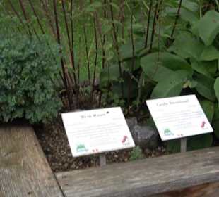 Andechser Kräutergarten