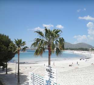 Alcudia