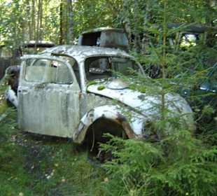 Autofriedhof am Foxen