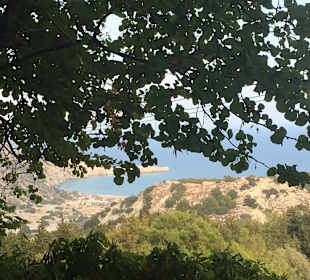 Sonstiges