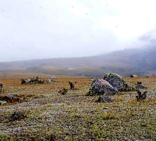 Cotopaxi Nationalpark