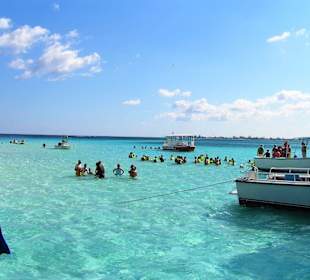 Ausflug zu den Rochen auf Grand Cayman