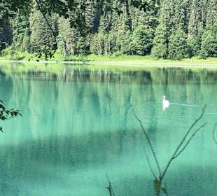 Wandern Kleinarl