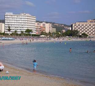 Der Strand von Palma Nova