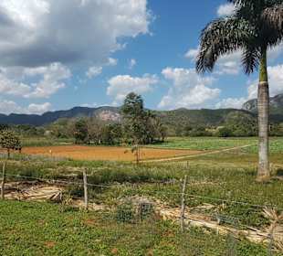 Landschaft