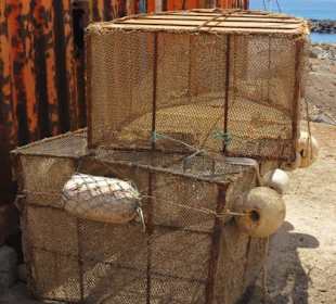 Was auch immer man damit fängt