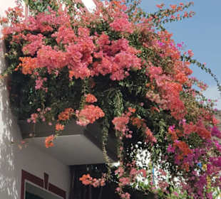 Altstadt Puerto de Mogán