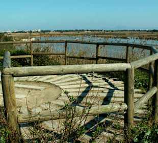 Beobachtungsplattform