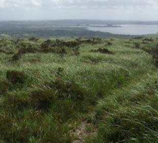 Addes-Arrée randonnées