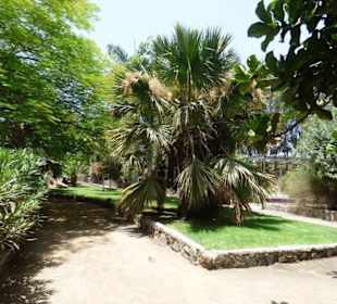 Schöner Garten