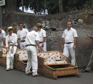 Schlittenfahren im Sommer