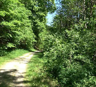 Kalktuff-Lehrpfad