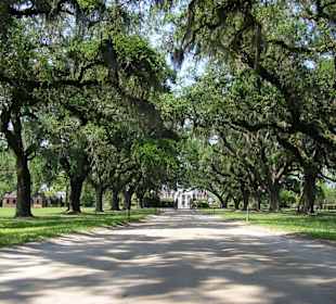 Boone Hall Plantation - South Carolina