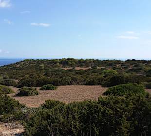 Unterwegs die Aussicht