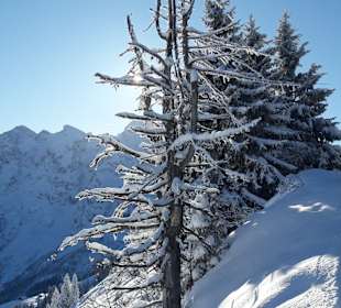 An der Rossfeld Panoramastraße