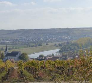 Blick vom Weinberg auf Wipfeld und den Main