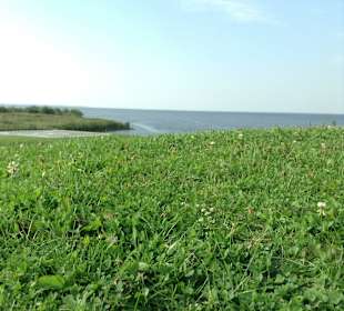 Dolny park w Peterhofie