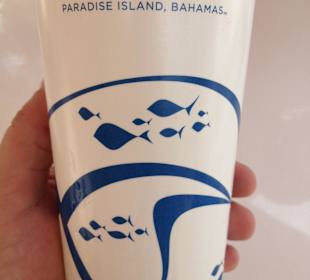 Aquaventure Water Park 