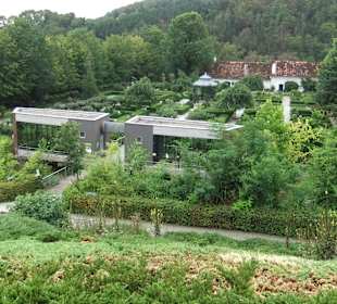 Tierwelt Herberstein