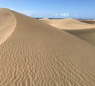 Dünen von Maspalomas