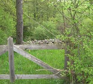 Naturerlebnisweg des NABU-Metzingen