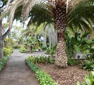 Im Jardín de aclimatación de La Orotava