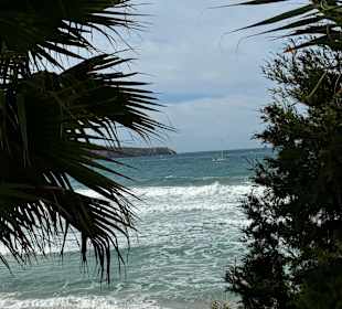 Strand