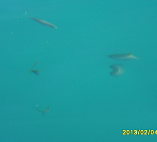 SUNRISE Grand Select Crystal Bay Resort