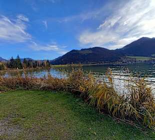 Walchsee