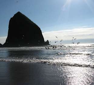 Sonnenuntergang am Haystayrock