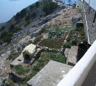 eine bewachte Gartenanlage