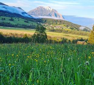 Wandern Hermagor - Pressegger See
