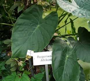 Botanischer Garten