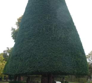 Herbst-Spaziergang im Würzburger Residenzgarten