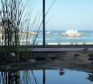 Blick auf den Pazifik