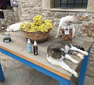 Altstadt Datca