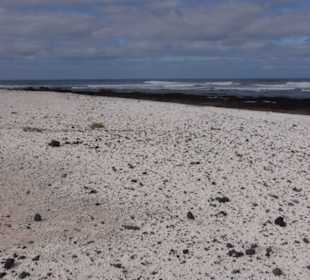Strandabschitt mit Korallenresten
