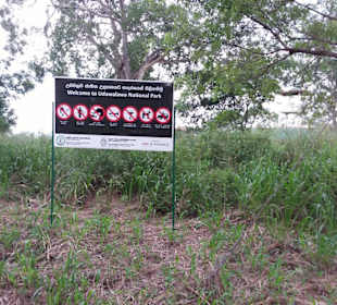 Elefantenreiten Sigiriya