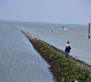 Strand Neuharlingersiel