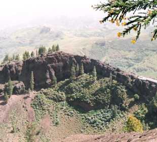 Caldera Pinos de Galdar -  Gran Canaria