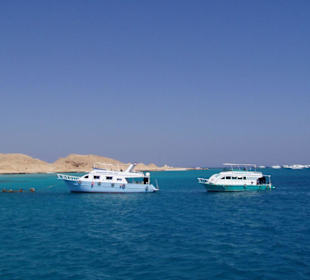 Tauchen im Roten Meer