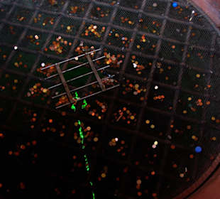 Der Tiefe Brunnen mit Lichterkette