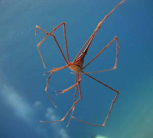 Tauchgang mit James & Mac