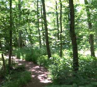 Premiumwanderweg "hochgelegen"