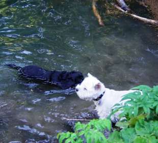 Wasserspass für die Kleinen