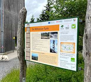Möhneseeturm Wanderung